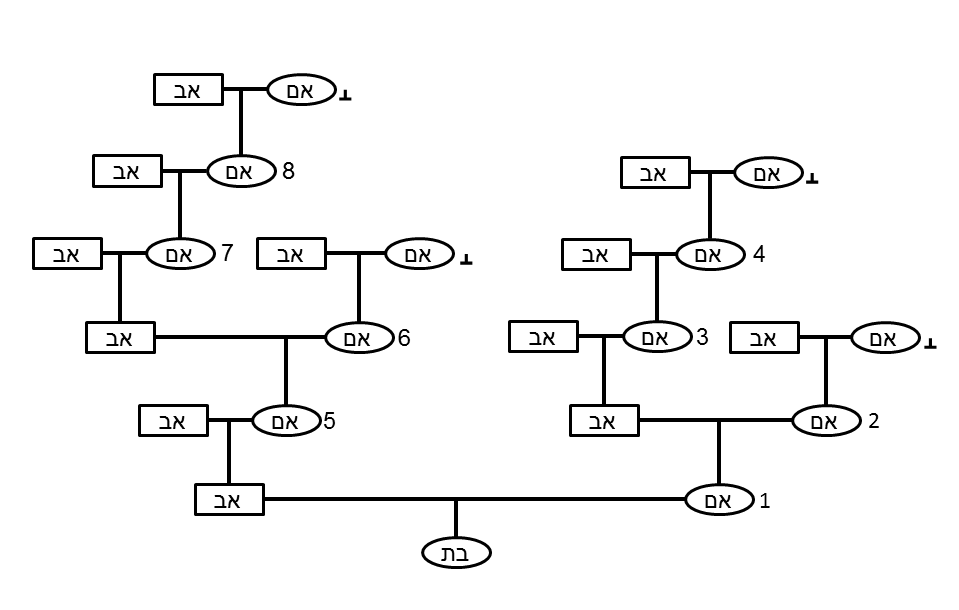 Verifying the Yichus of a Kohenes